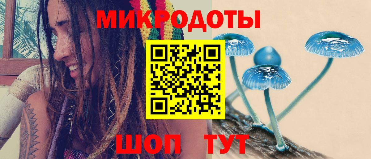 Заводоуковск  Галлюциногенные грибы мухоморы  Вход с VPN 